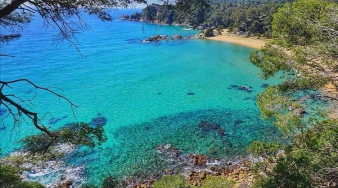 Seahomes Vacations, La Casa Blue Mediterranean Lifestyle Blanes Eksteriør billede