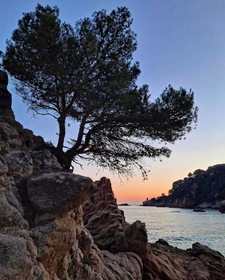 Seahomes Vacations, La Casa Blue Mediterranean Lifestyle Blanes Eksteriør billede